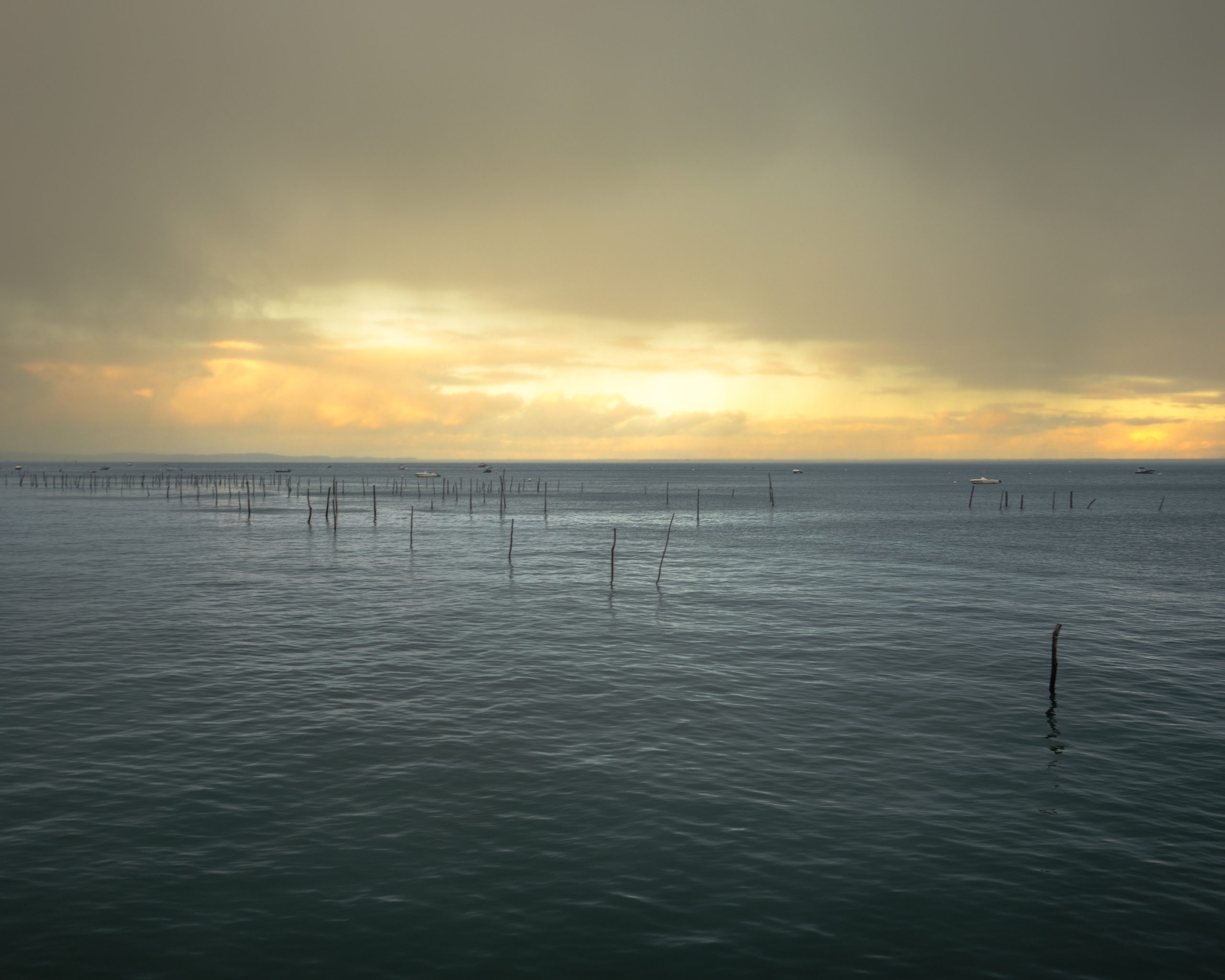 Photographe professionnel