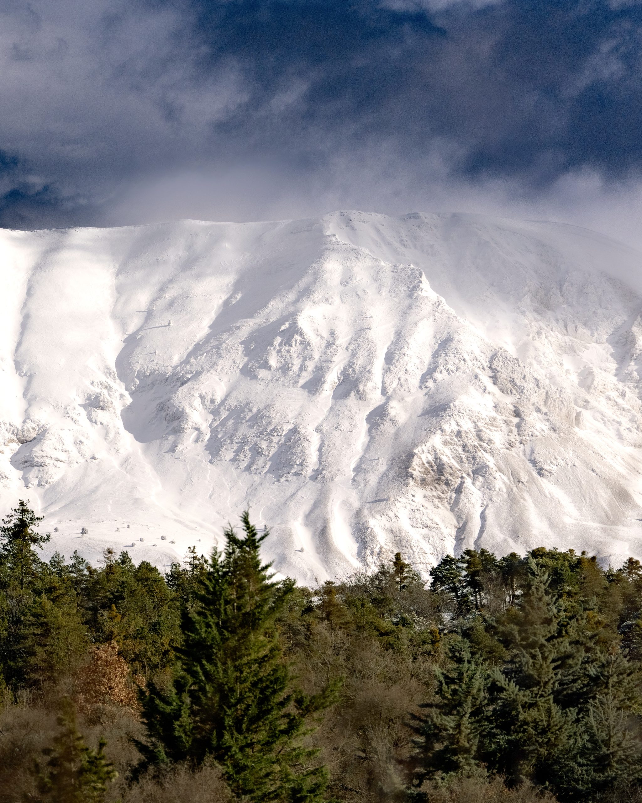 Photographe professionnel