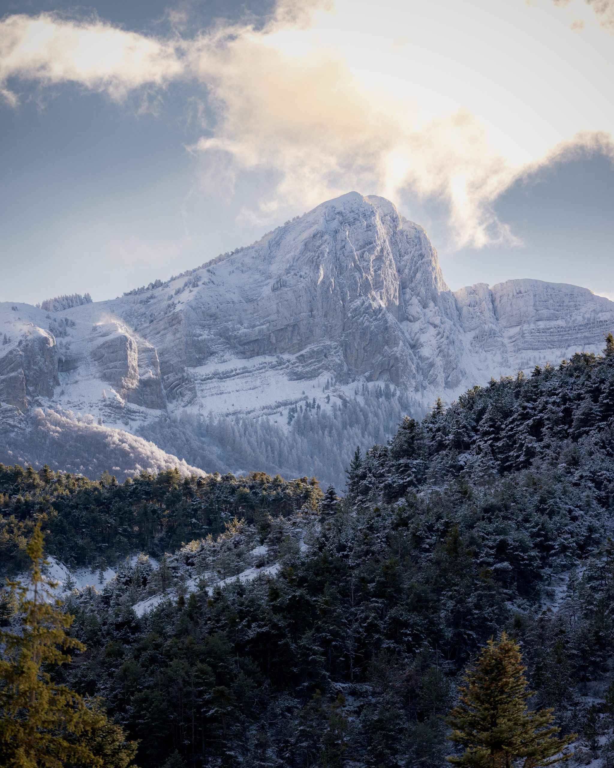 Photographe professionnel